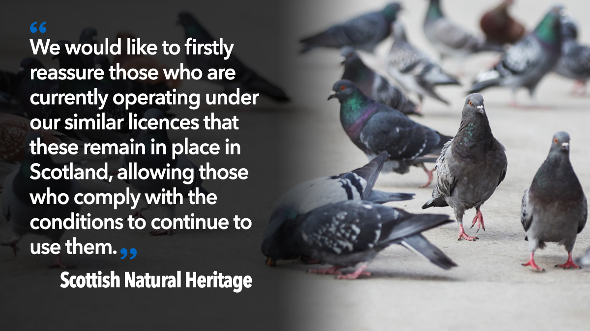 Scottish natural Heritage quote Scottish natural Heritage quote